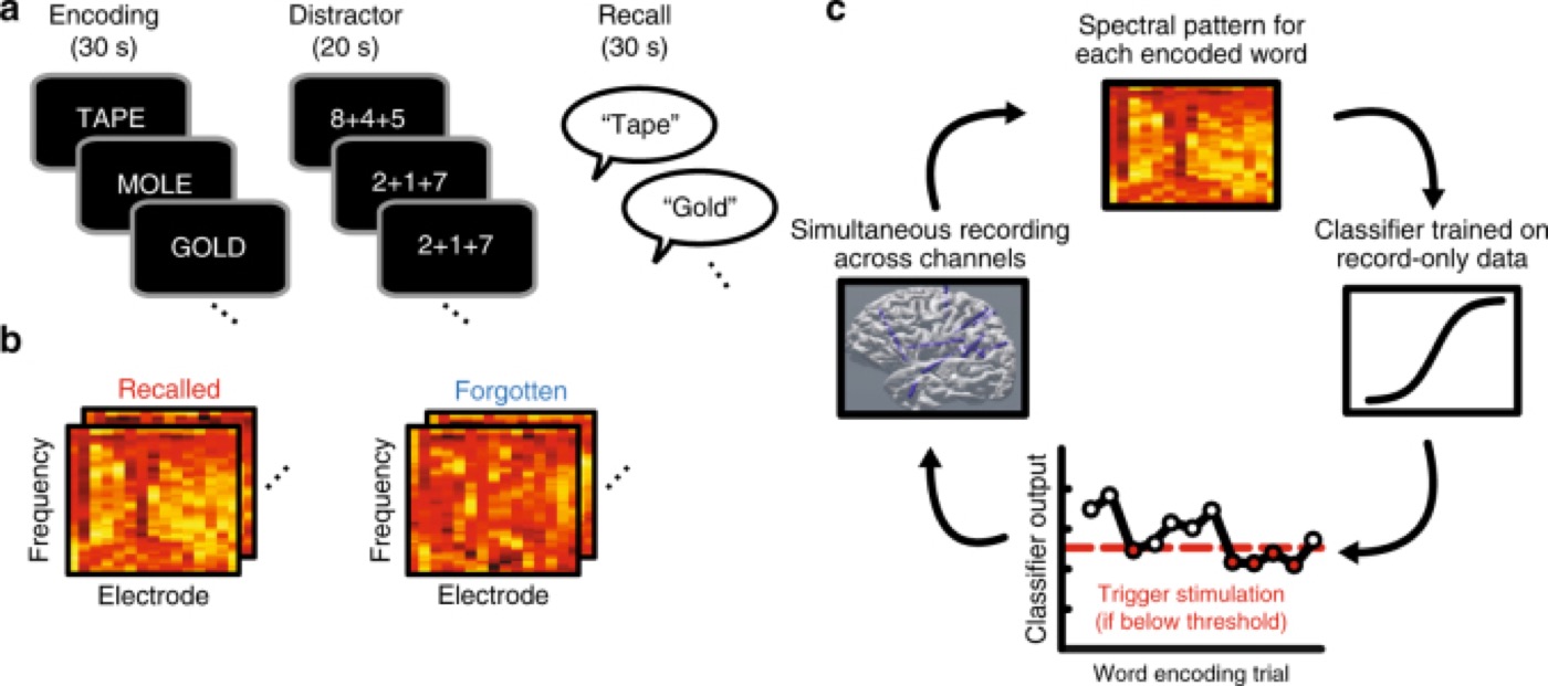 Closed-loop memory stimulation. A classifier detects moments of poor encoding in intracranial recordings and triggers stimulation only then.