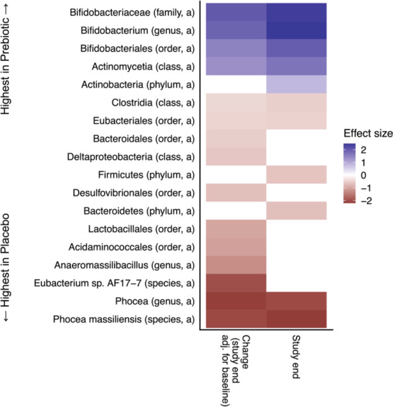A prebiotic for the ageing brain. Twin-paired comparisons of a prebiotic versus placebo, including cognitive outcomes and gut bacteria.