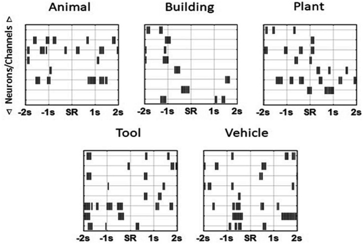 Writing content-specific memory codes. Stimulation patterns derived from a patient’s own hippocampal activity for five image categories.