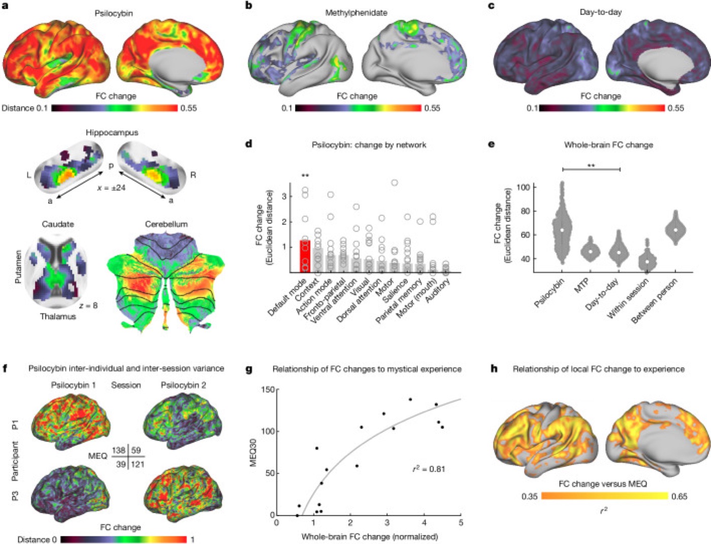 Psilocybin desynchronizes the brain. Acute changes in functional brain organization after psilocybin, compared with methylphenidate.