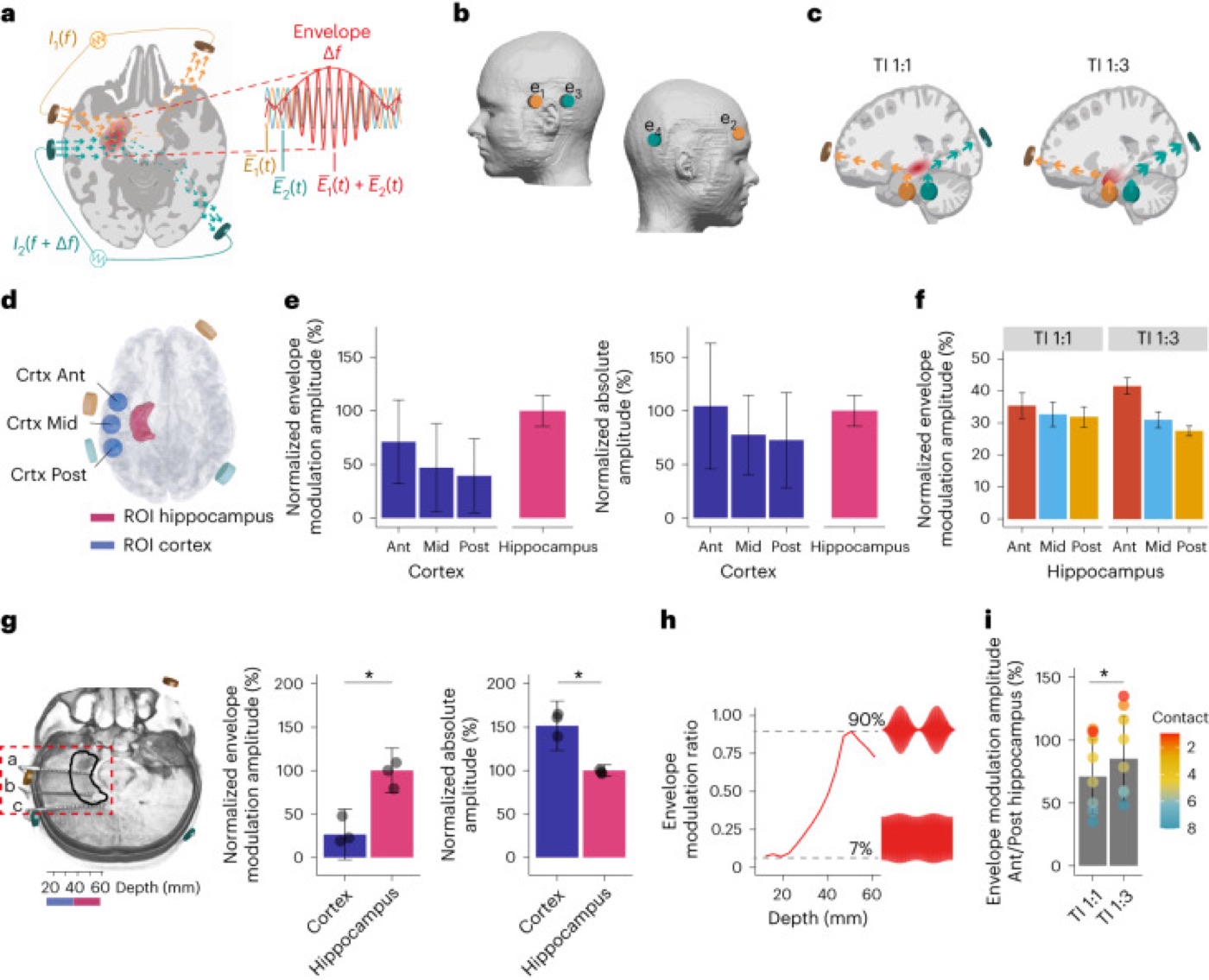 Temporal interference reaches the hippocampus. Two high-frequency fields create a focal low-frequency envelope at depth, validated by modeling and cadaver measurements.
