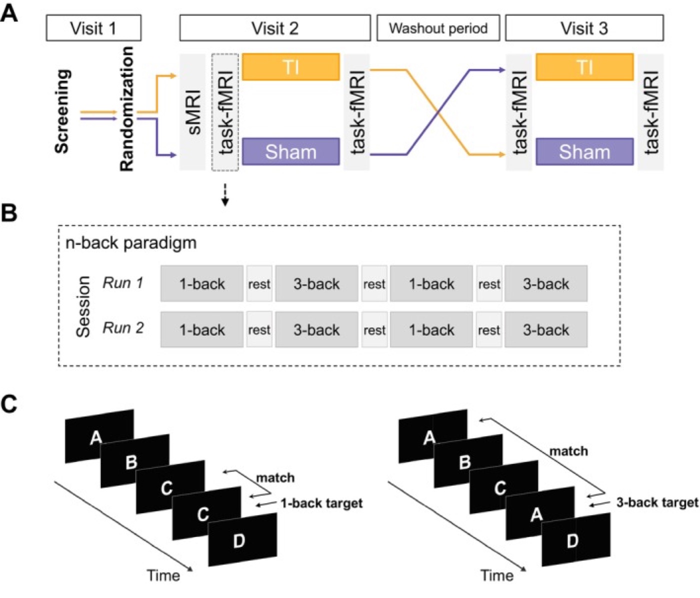Temporal interference and working memory. The randomized, double-blind crossover design and the working-memory tasks.